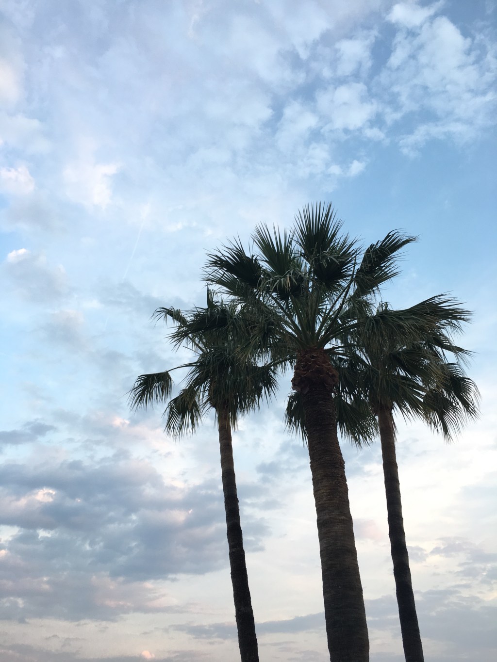 ~ Un court séjour à&nbsp;Nice.