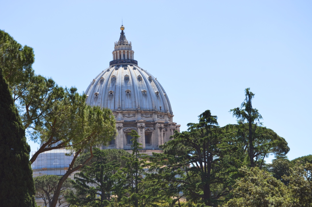 thumb_DSC_0251_Fotor_1024