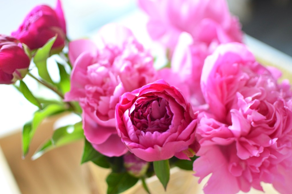 ~ Mon expérience&nbsp;LPG.